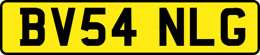 BV54NLG