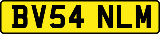 BV54NLM