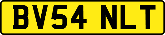BV54NLT
