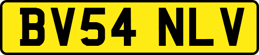 BV54NLV
