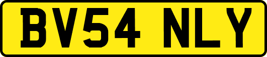 BV54NLY