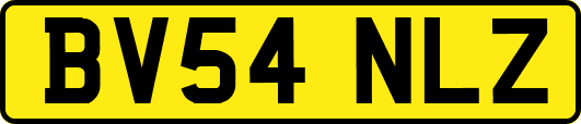BV54NLZ