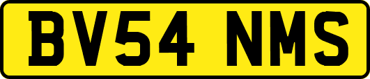 BV54NMS