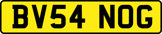 BV54NOG