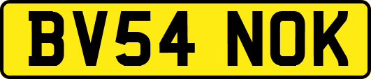 BV54NOK