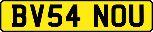 BV54NOU