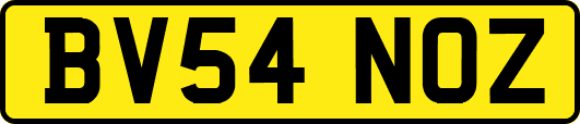 BV54NOZ