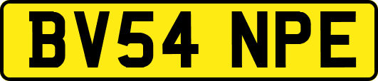 BV54NPE