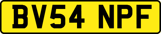 BV54NPF