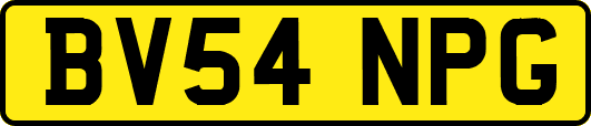 BV54NPG