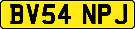 BV54NPJ