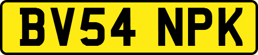 BV54NPK