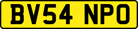 BV54NPO
