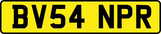 BV54NPR
