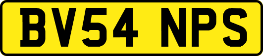 BV54NPS