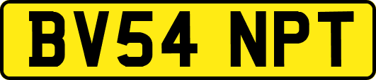 BV54NPT