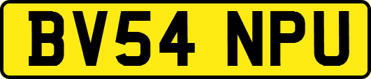 BV54NPU