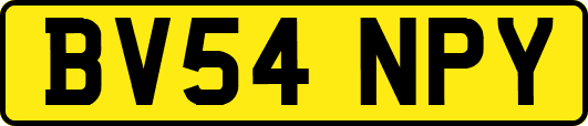 BV54NPY