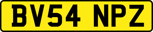 BV54NPZ