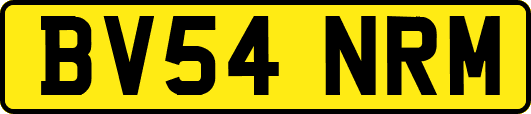BV54NRM