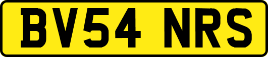 BV54NRS