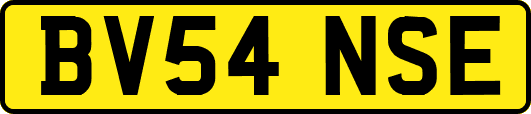 BV54NSE