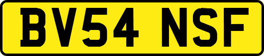 BV54NSF