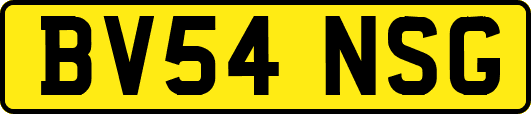 BV54NSG
