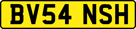 BV54NSH