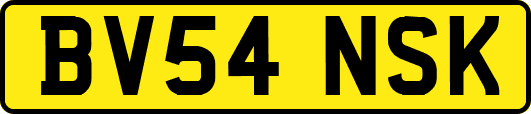 BV54NSK