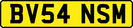 BV54NSM
