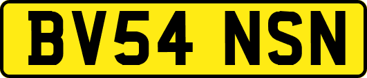 BV54NSN