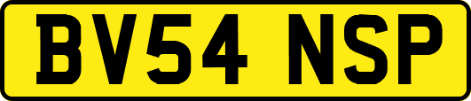 BV54NSP