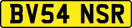 BV54NSR