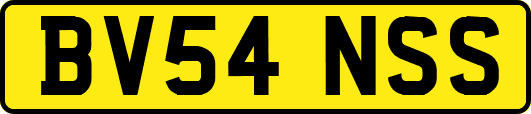 BV54NSS