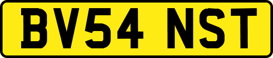 BV54NST