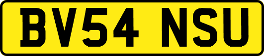 BV54NSU
