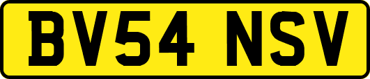 BV54NSV
