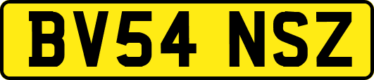 BV54NSZ