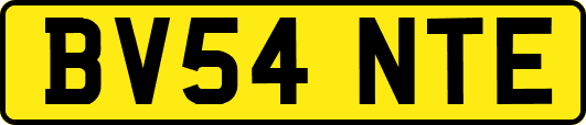 BV54NTE