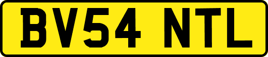 BV54NTL