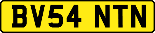 BV54NTN
