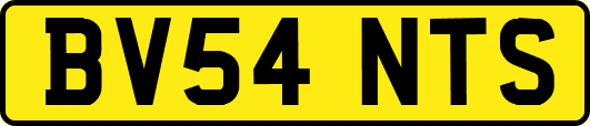 BV54NTS