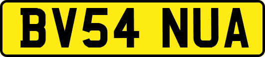 BV54NUA
