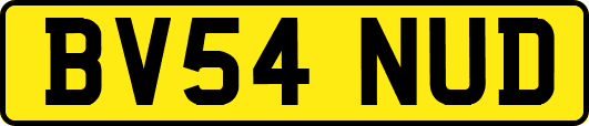 BV54NUD