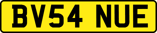 BV54NUE