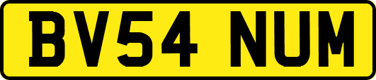 BV54NUM