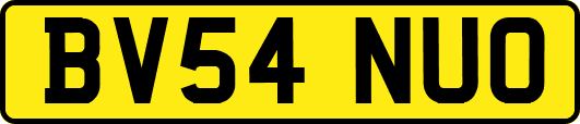 BV54NUO