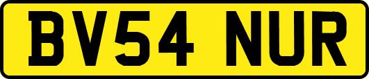 BV54NUR