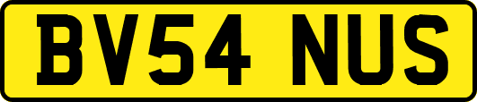 BV54NUS